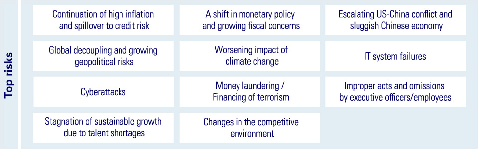 Top risks