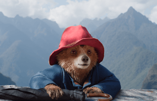 'Paddington in Peru'